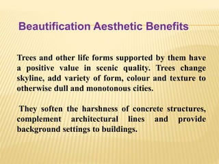 Beautification Aesthetic Benefits
Trees and other life forms supported by them have
a positive value in scenic quality. Trees change
skyline, add variety of form, colour and texture to
otherwise dull and monotonous cities.
They soften the harshness of concrete structures,
complement architectural lines and provide
background settings to buildings.
 