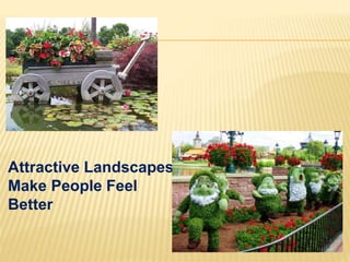 Attractive Landscapes
Make People Feel
Better
 