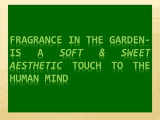 FRAGRANCE IN THE GARDEN-
IS A SOFT & SWEET
AESTHETIC TOUCH TO THE
HUMAN MIND
 