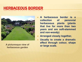 HERBACEOUS BORDER
A picturesque view of
herbaceous garden
 A herbaceous border is a
collection of perennial
herbaceous plants (plants
that live for more than two
years and are soft-stemmed
and non-woody)
 Arranged closely together,
 Usually to create a dramatic
effect through colour, shape
or large scale.
 