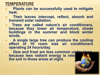 TEMPERATURE
 Plants can be successfully used to mitigate
heat.
 Their leaves intercept, reflect, absorb and
transmit solar radiation.
 Trees are called nature's air conditioners,
because they lower air temperature, shade
buildings in the summer and block winter
winds.
 A single large tree can produce the cooling
effect of 10 room size air conditioners
operating 24 hours/day.
 Dew and frost are less common under trees,
because less radiant energy is released from
the soil in those areas at night.
 