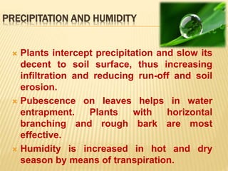 PRECIPITATION AND HUMIDITY
 Plants intercept precipitation and slow its
decent to soil surface, thus increasing
infiltration and reducing run-off and soil
erosion.
 Pubescence on leaves helps in water
entrapment. Plants with horizontal
branching and rough bark are most
effective.
 Humidity is increased in hot and dry
season by means of transpiration.
 