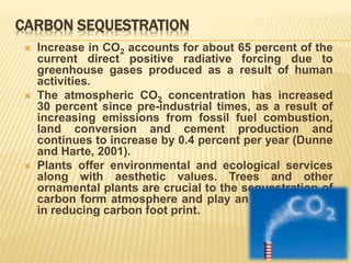CARBON SEQUESTRATION
 Increase in CO2 accounts for about 65 percent of the
current direct positive radiative forcing due to
greenhouse gases produced as a result of human
activities.
 The atmospheric CO2 concentration has increased
30 percent since pre-industrial times, as a result of
increasing emissions from fossil fuel combustion,
land conversion and cement production and
continues to increase by 0.4 percent per year (Dunne
and Harte, 2001).
 Plants offer environmental and ecological services
along with aesthetic values. Trees and other
ornamental plants are crucial to the sequestration of
carbon form atmosphere and play an important role
in reducing carbon foot print.
 