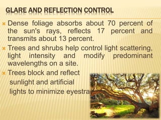 GLARE AND REFLECTION CONTROL
 Dense foliage absorbs about 70 percent of
the sun's rays, reflects 17 percent and
transmits about 13 percent.
 Trees and shrubs help control light scattering,
light intensity and modify predominant
wavelengths on a site.
 Trees block and reflect
sunlight and artificial
lights to minimize eyestrain.
 