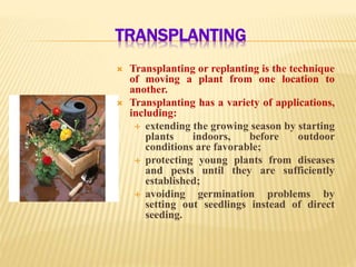 TRANSPLANTING
 Transplanting or replanting is the technique
of moving a plant from one location to
another.
 Transplanting has a variety of applications,
including:
 extending the growing season by starting
plants indoors, before outdoor
conditions are favorable;
 protecting young plants from diseases
and pests until they are sufficiently
established;
 avoiding germination problems by
setting out seedlings instead of direct
seeding.
 