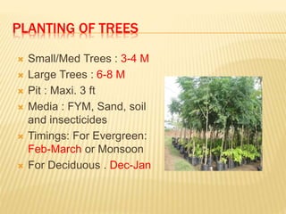 PLANTING OF TREES
 Small/Med Trees : 3-4 M
 Large Trees : 6-8 M
 Pit : Maxi. 3 ft
 Media : FYM, Sand, soil
and insecticides
 Timings: For Evergreen:
Feb-March or Monsoon
 For Deciduous . Dec-Jan
 