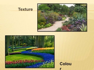 Texture
Colou
 