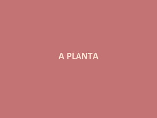 A PLANTA
.
 