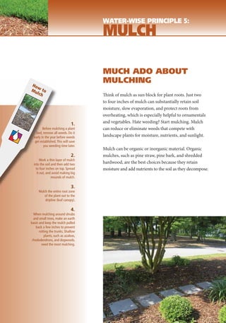 WATER-WISE PRINCIPLE 5:
                                     MULCH

                                     MUCH ADO ABOUT
Ho
                                     MULCHING
   w
Mu to
  lch                                Think of mulch as sun block for plant roots. Just two
                                     to four inches of mulch can substantially retain soil
                                     moisture, slow evaporation, and protect roots from
                                     overheating, which is especially helpful to ornamentals
                              1.     and vegetables. Hate weeding? Start mulching. Mulch
         Before mulching a plant     can reduce or eliminate weeds that compete with
    bed, remove all weeds. Do it
  early in the year before weeds     landscape plants for moisture, nutrients, and sunlight.
   get established. This will save
          you weeding time later.
                                     Mulch can be organic or inorganic material. Organic
                              2.     mulches, such as pine straw, pine bark, and shredded
        Work a thin layer of mulch
  into the soil and then add two
                                     hardwood, are the best choices because they retain
    to four inches on top. Spread    moisture and add nutrients to the soil as they decompose.
     it out, and avoid making big
                mounds of mulch.

                              3.
      Mulch the entire root zone
          of the plant out to the
          dripline (leaf canopy).

                              4.
  When mulching around shrubs
  and small trees, make an earth
basin and keep the mulch pulled
    back a few inches to prevent
      rotting the trunks. Shallow
          plants, such as azaleas,
 rhododendrons, and dogwoods,
        need the most mulching.
 