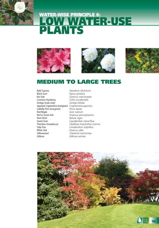 WATER-WISE PRINCIPLE 6:
  LOW WATER-USE
  PLANTS



MEDIUM TO LARGE TREES
Bald Cypress                       Taxodium distichum
Black Gum                          Nyssa sylvatica
Bur Oak                            Quercus macrocarpa
Common Hackberry                   Celtis occidentalis
Ginkgo (male only)                 Ginkgo biloba
Japanese Cryptomeria (evergreen)   Cryptomeria japonica
Loblolly Pine (evergreen)          Pinus taeda
Red Maple                          Acer rubrum
Red or Green Ash                   Fraxinus pennsylvanica
River Birch                        Betula nigra
Sweet Gum                          Liquidambar styraciﬂua
Thornless Honeylocust              Gleditisia triacanthos inermis
Tulip Tree                         Liriodendron tulipifera
White Oak                          Quercus alba
Yellowwood                         Cladrastis kentuckea
Zelkova                            Zelkova serrata




                                                                    18
 