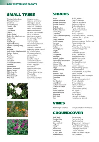 LOW WATER-USE PLANTS




SMALL TREES                                                     SHRUBS
American Hophornbeam               Ostrya virginiana            Acuba                       Acuba japonica
American Hornbeam                  Carpinus caroliniana         American Arborvitae         Thuja occidentalis
Chaste Tree                        Vitex agnus-castus           American Beautyberry        Callicarpa americana
Chinese Fringetree                 Chionanthus retusus          American Boxwood            Buxus sempervirons
Common Elder                       Sambucus canadensis          Barberry                    Berberris thunbergii
Crabapple                          Malus (many species)         Black Chokeberry            Aronia melanocarpa
Crape Myrtle                       Lagerstroemia indica         Blackhaw Viburnum           Viburnum prunifolium
Cypress                            Cypressa (many species)      Chinese Holly               Ilex cornuta
Eastern Redbud                     Cercis canadensis            Chokecherry                 Prunus virginiana
Eastern Red Cedar (evergreen)      Juniperus virginiana         Compact Oregon Grapeholly   Mahonia aquifolium Compacta
Foster’s Holly                     Ilex attenuata ‘Fosteri’     Deutzia                     Deutzia scaba; D. gracilis
Ginkgo                             Gingko biloba                Eastern Arborvitae          Thuja orientalis
Hedge Maple                        Acer campestre               English Boxwood             Buxus sempervirons ‘Suffruticosa’
Highbush Blueberry                 Vaccinum corymbosum          Euonymus                    Euonymus japonica
Japanese Flowering Cherry          Prunus serrulata             False Arborvitae            Hiba arborvitae
Juniper                            Juniperus communis           Firethorn                   Pyracantha (several species)
Magnolia                           Magnolia (several species)   Flowering Quince            Chaenomeles japonica
Nellie Stevens Holly (evergreen)   Ilex x Nellie Stevens        Forsythia                   Forsythia
Northern Bayberry                  Myrica pensylvanica          Fothergilla                 Forthergilla gardenii
Paw Paw                            Asimina triloba              Glossy Abelia               Abelia x grandiﬂora
Persimmon                          Diospyros                    Hawthorne                   Rhaphiolepsis indica
Sassafras                          Sassafras albidum            Heavenly Bamboo             Nandina domestica
Serviceberry                       Amelanchier arborea          Hummingbird Summersweet     Clethra alnifolia
Shadblow Serviceberry              Amelanchier canadensis       Inkberry Holly              Ilex glabra Shamrock
Smoketree                          Cotinus coggygria            Japanese Holly              Ilex crenata
Smooth Sumac                       Rhus glabra                  Japanese Honeysuckle        Lonicera japonica
Southern Arrowwood                 Viburnum dentatum            Juniper                     Juniperis (many species)
Staghorn Sumac                     Rhus typhina                 Littleleaf Boxwood          Buxus microphylla
White Fringe Tree                  Chionanthus virginicus       Mahonia                     Mahonia bealei; m. aquifolia
White Mulberry                     Morus alba                   Mountain Laurel             Kalmia latifolia
Winterberry Holly                  Ilex verticillata            Pinxterbloom Azalea         Rhododendron periclymenoides
Witch Hazel                        Hamamelis virginiana         Possumhaw                   Ilex decidua
                                                                Privet                      Ligustrum (several species)
                                                                Red Chokeberry              Aronia arbutifolia
                                                                Scotch Broom                Cytisus scoparius
                                                                Southern Arrowwood          Vibernum dentatum
                                                                Southern Wax Myrtle         Myrica cerifera
                                                                Spirea                      Spirea (several species)
                                                                Virginia Sweetspire         Itea virginica
                                                                Western Arborvitae          Thuja plicata
                                                                Winterberry                 Ilex verticillata
                                                                Witch Hazel                 Hammelis virginiana
                                                                Yucca                       Yucca (several species)


                                                                VINES
                                                                Wintercreeper Euonymus      Euonymus fortunei ‘Coloratus’


                                                                GROUNDCOVER
                                                                Bugle Weed                  Ajuga reptans
                                                                Creeping Phlox              Phlox stolonifera
                                                                Foamﬂower                   Tiarella cordifolia
                                                                Green and Gold              Chrysogonum virginianum
                                                                Leadwort                    Plumbago ceratostigma
                                                                Lilyturf                    Liriope muscari; L. spicata
                                                                Mondo Grass                 Ophipogon japonicum
                                                                Sensitive Fern              Onoclea sensibilis
                                                                St. John’s Wort             Hypericum (several species)
                                                                Woodland Phlox              Phlox divaricata
 