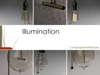 Thomas Alva Edison 
Illumination 
LandscapeArchitecture 
 