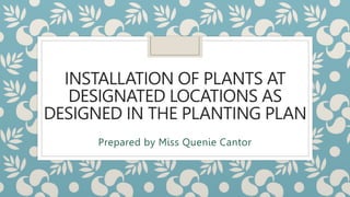 INSTALLATION OF PLANTS AT
DESIGNATED LOCATIONS AS
DESIGNED IN THE PLANTING PLAN
Prepared by Miss Quenie Cantor
 
