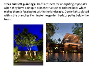 Trees and soft plantings- Trees are ideal for up-lighting especially
when they have a unique branch structure or colored back which
makes them a focal point within the landscape. Down-lights placed
within the branches illuminate the garden beds or paths below the
trees.
 