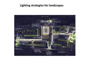 Lighting strategies for landscapes
 