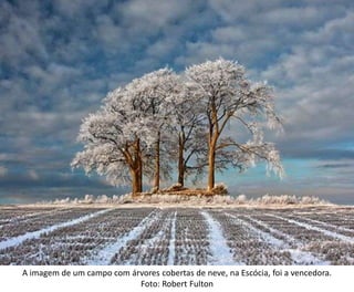 A imagem de um campo com árvores cobertas de neve, na Escócia, foi a vencedora.
                           Foto: Robert Fulton
 