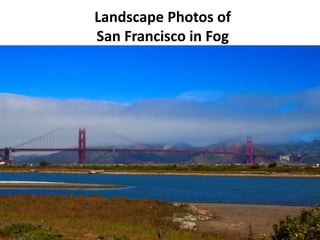Landscape Photos of
San Francisco in Fog
 