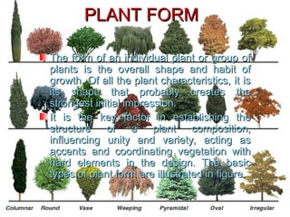 Short Note On Tree Form trees and shrubs in the landscape and uses | PPT