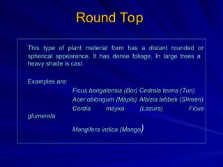 trees and shrubs in the landscape and uses | PPT