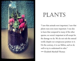 PLANTS
“I saw that animals were important. I saw that
plants were even more important. I was also
to learn that compared to many of the other
species, we weren't important at all except for
the damage we do. We do not rule the natural
world, despite our conspicuous position in it.
On the contrary, it is our lifeline, and we do
well to try to understand its rules.”
― Elizabeth Marshall Thomas
 
