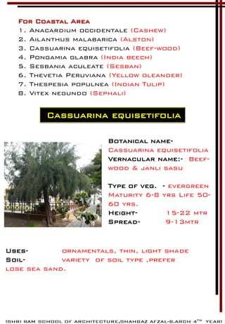 For Coastal Area
1. Anacardium occidentale (Cashew)
2. Ailanthus malabarica (Alston)
3. Cassuarina equisetifolia (Beef-wood)
4. Pongamia glabra (India beech)
5. Sesbania aculeate (Sesban)
6. Thevetia Peruviana (Yellow oleander)
7. Thespesia populnea (Indian Tulip)
8. Vitex negundo (Sephali)
Cassuarina equisetifolia
Botanical name-
Cassuarina equisetifolia
Vernacular name:- Beef-
wood & janli sasu
Type of veg. - evergreen
Maturity 6-8 yrs Life 50-
60 yrs.
Height- 15-22 mtr
Spread- 9-13mtr
Uses- ornamentals, thin, light shade
Soil- variety of soil type ,prefer
lose sea sand.
 