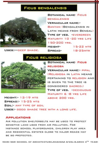 Ficus bengalensis
Botanical name- Ficus
bengalensis
Vernacular name:-
Banyan (Bengalensis in
Latin means from Bengal)
Type of veg. -evergreen
Maturity 10 -20 yrs Life
150-200 yrs.
Height- 15-22 mtr
Spread- 18-25mtrUses:—deep shade.
Ficus religiosa
Botanical name- Ficus
religiosa
Vernacular name:- pipal
(Religiosa in Latin means
pertaining to religion and
is given to the tree is
considered sacred.)
Type of veg. -deciduous
Maturity 6 -8 yrs Life
above 200 yrs.Height:- 12-19 mts
Spread:- 15-25 mts
Soil:- any type of soil
Uses:- good shade tree with a long life.
Applications
Air pollution shelterbelts may be used to protect
sensitive land uses from air pollution. For
instance school playgrounds, children play area
and residential estates close to major roads may
be so protected.
 