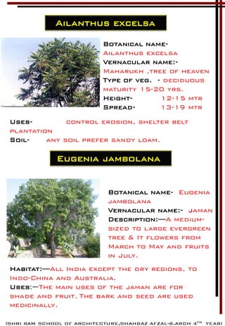 Ailanthus excelsa
Botanical name-
Ailanthus excelsa
Vernacular name:-
Maharukh ,tree of heaven
Type of veg. - deciduous
maturity 15-20 yrs.
Height- 12-15 mtr
Spread- 13-19 mtr
Uses- control erosion, shelter belt
plantation
Soil- any soil prefer sandy loam.
Eugenia jambolana
Botanical name- Eugenia
jambolana
Vernacular name:- jaman
Description:—A medium-
sized to large evergreen
tree & It flowers from
March to May and fruits
in July.
Habitat:—All India except the dry regions, to
Indo-China and Australia.
Uses:—The main uses of the jaman are for
shade and fruit. The bark and seed are used
medicinally.
 