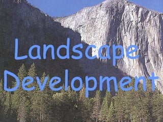Landscape  Development 