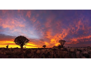 Photography by Sandra Kreuzinger