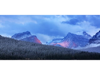 Photography by Sandra Kreuzinger