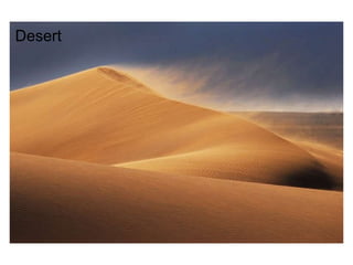 Desert 
