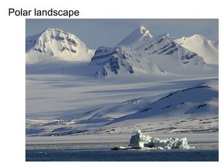 Polar landscape 