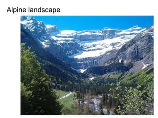 Alpine landscape 