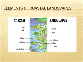 ELEMENTS OF COASTAL LANDSCAPES
 