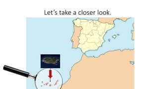 These are the Islas Canarias.Let’s take a closer look.
 