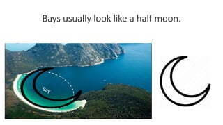 Bays usually look like a half moon.
 