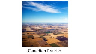 Canadian Prairies
 