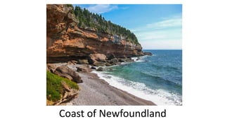 Coast of Newfoundland
 