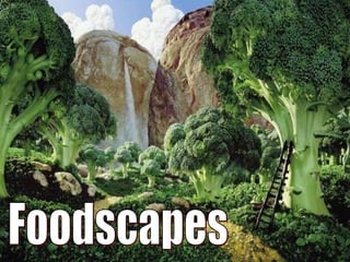 Foodscapes 