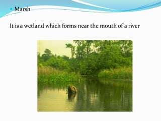 Landscapes 5th grade | PPT