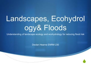 Landscapes, Ecohydrology & Floods Understanding of landscape ecology and ecohydrology for reducing flood risk Declan Hearne ENRM 230 