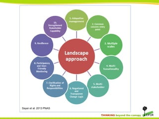 THINKING beyond the canopy
Sayer et al. 2013 PNAS
 