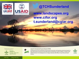 THINKING beyond the canopy
www.landscapes.org
www.cifor.org
t.sunderland@cgiar.org
@TCHSunderland
 