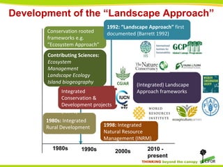 THINKING beyond the canopy
Development of the “Landscape Approach”
1980s 1990s 2000s 2010 -
present
1980s: Integrated
Rural Development 1998: Integrated
Natural Resource
Management (INRM)
1985 onwards:
Integrated
Conservation &
Development projects
(ICDPs)
Contributing Sciences:
Ecosystem
Management
Landscape Ecology
Island biogeography
Conservation rooted
frameworks e.g.
“Ecosystem Approach”
1992: “Landscape Approach” first
documented (Barrett 1992)
(Integrated) Landscape
Approach frameworks
 