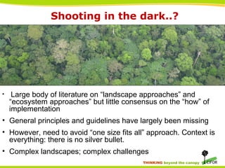 THINKING beyond the canopy
Shooting in the dark..?
• Large body of literature on “landscape approaches” and
“ecosystem approaches” but little consensus on the “how” of
implementation
• General principles and guidelines have largely been missing
• However, need to avoid “one size fits all” approach. Context is
everything: there is no silver bullet.
• Complex landscapes; complex challenges
 