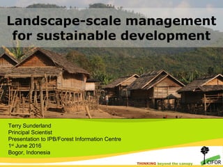 THINKING beyond the canopy
THINKING beyond the canopy
Terry Sunderland
Principal Scientist
Presentation to IPB/Forest Information Centre
1st
June 2016
Bogor, Indonesia
Landscape-scale management
for sustainable development
 