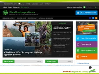 Landscape-scale management for sustainable development