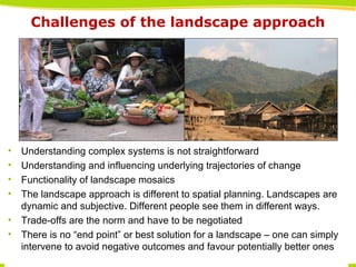 Landscape-scale management for sustainable development