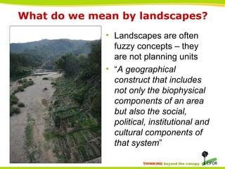 THINKING beyond the canopy
What do we mean by landscapes?
• Landscapes are often
fuzzy concepts – they
are not planning un...