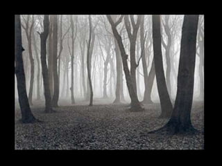 Landscape show file